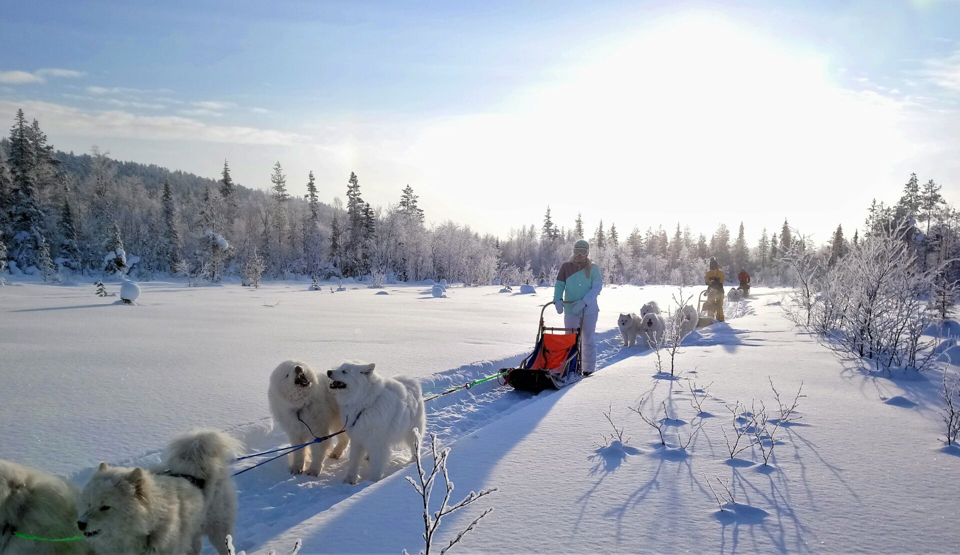 Aurore boréale au-dessus du chalet SamArctic en pays Sami